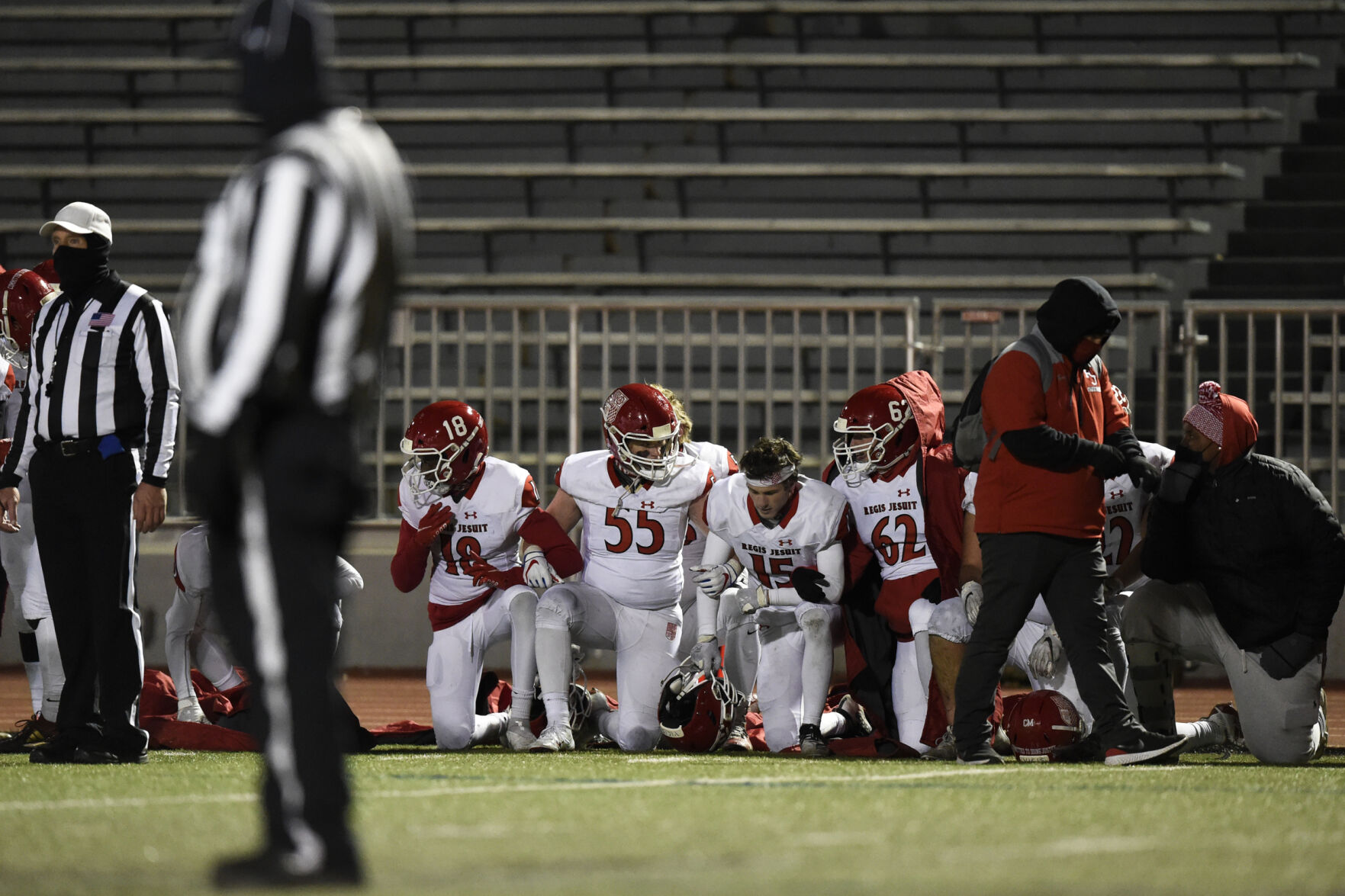 111320-sw-eagles0016.JPG